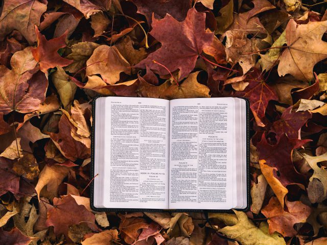 A Bible lays open on a backdrop of red and orange autumn leaves.