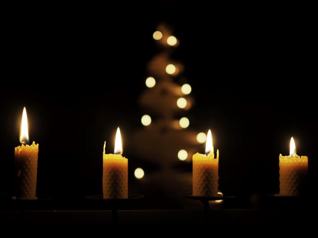 four lit advent candles stand in a dark room. A Christmas tree is in the background.